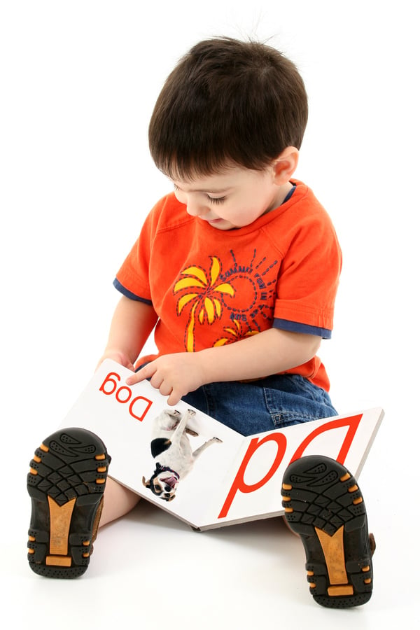 Addorable Toddler Boy Reading Alphabet Book